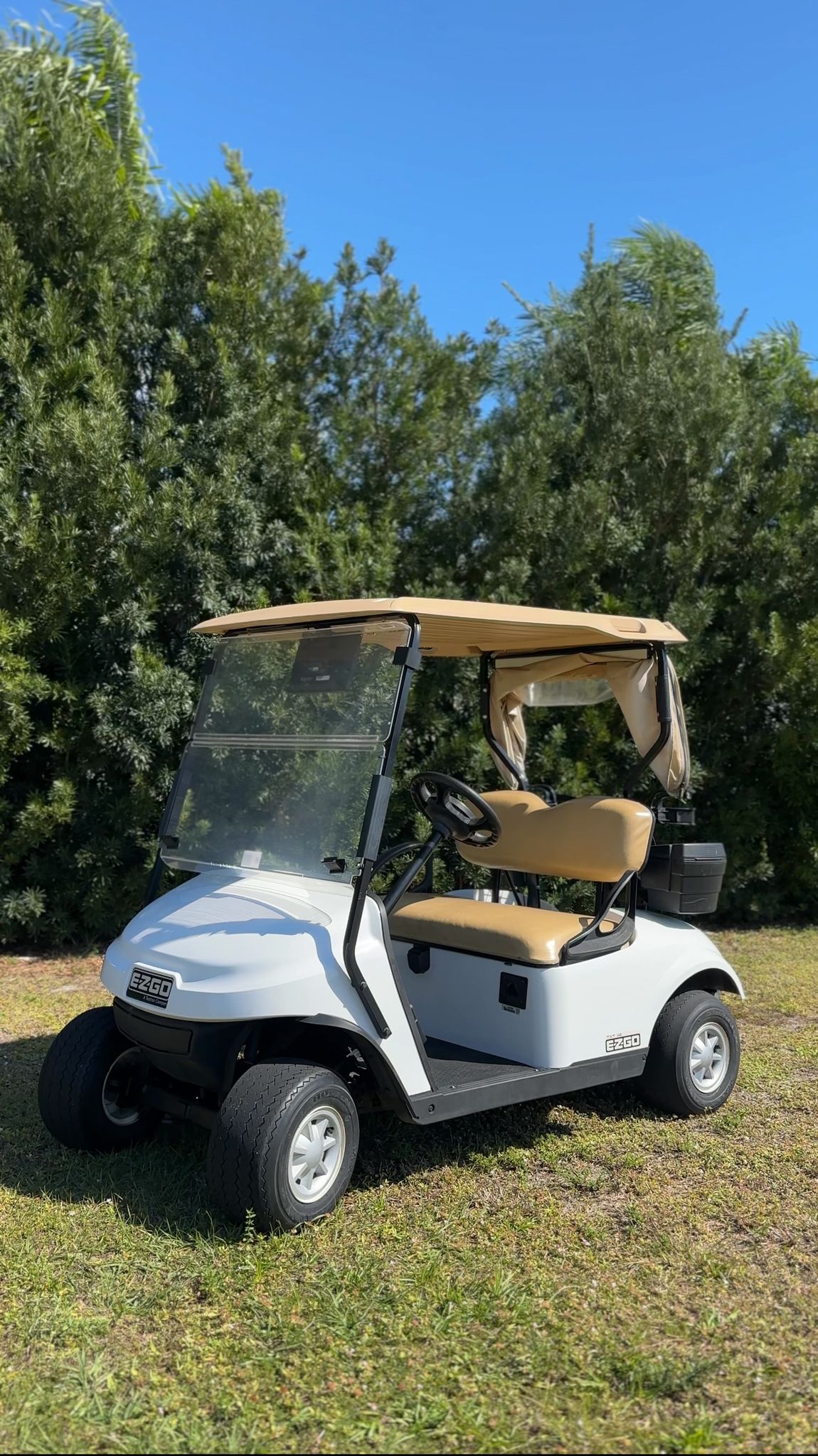 2018 EZGO RAFFLE TICKET