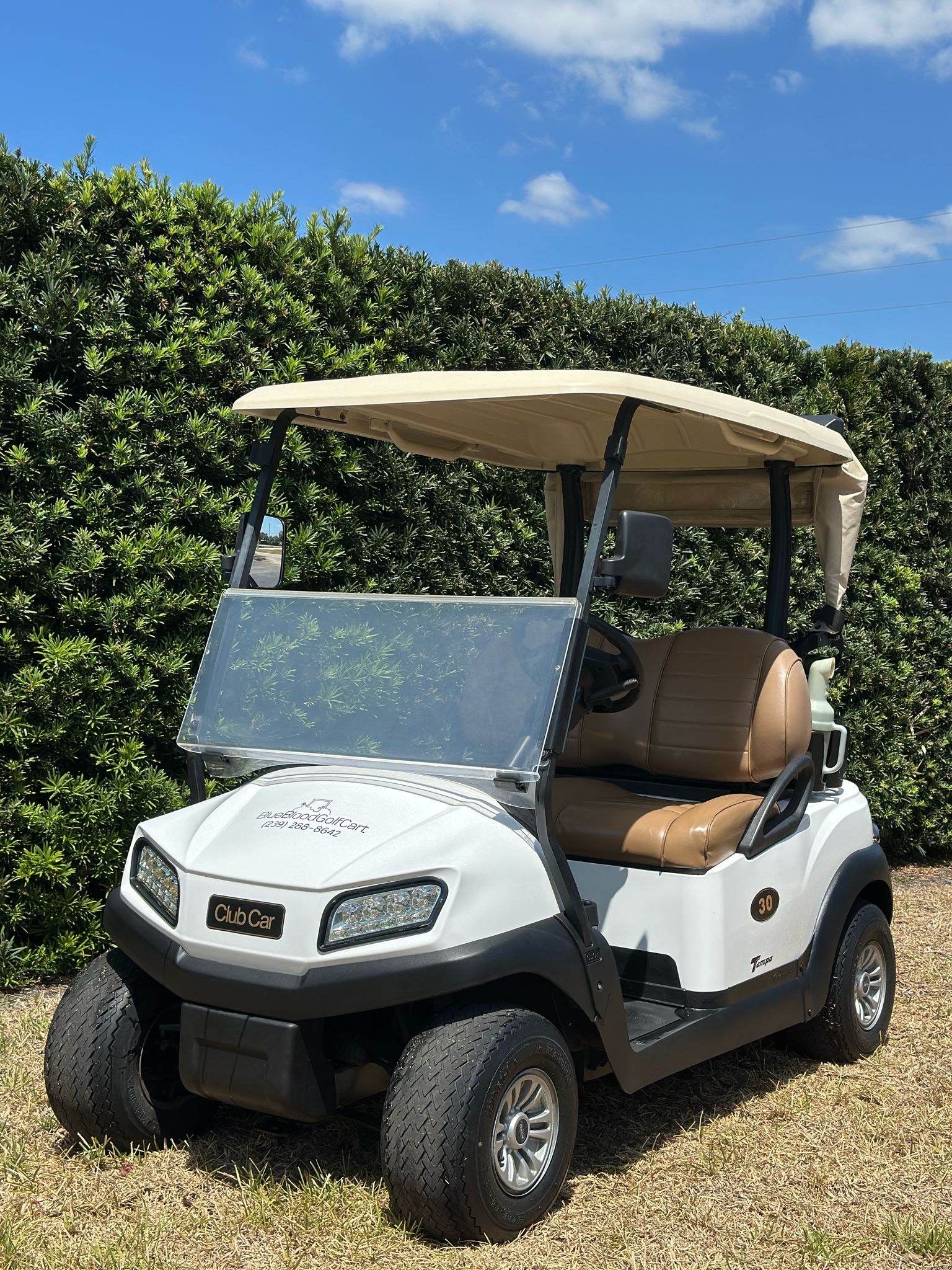 GOLF CART 2 SEATER CLUB CAR TEMPO WHITE #30