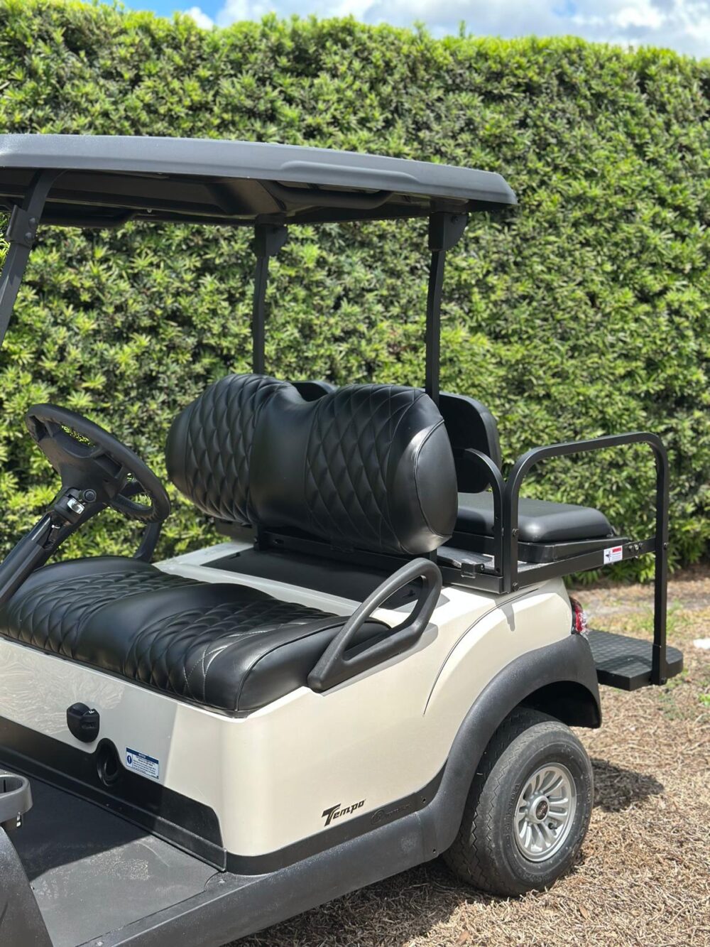 2020 Club Car Tempo - Image 3