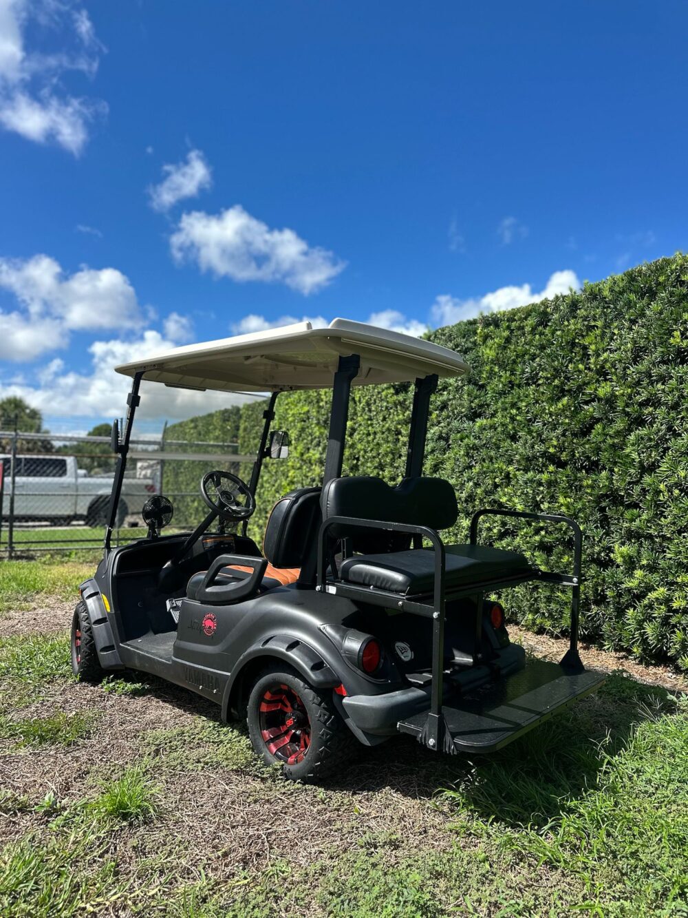 2008 Yamaha G29 - Image 2
