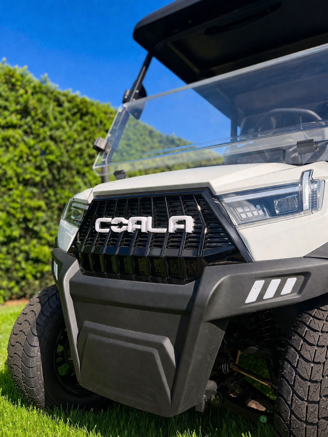 GOLF CART COALA - WHITE 4 SEATER - Image 2